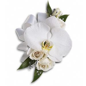Flowers for Her from Rose of Sharon Florist