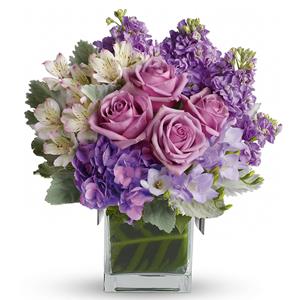 Any Occasion from Rose of Sharon Florist