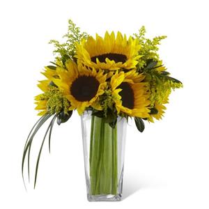 Image of 3631 Sunshine Daydream from Rose of Sharon Florist