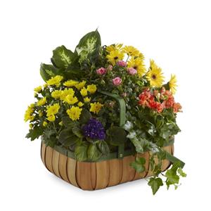 Image of 4021 Gentle Blossoms Basket from Rose of Sharon Florist