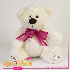 Plush Valentine Bear