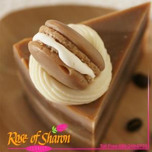 Chocolate Macaron Cake Slice