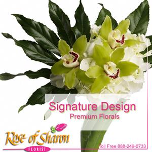 Signature Premium Design