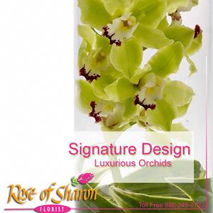 Signature Orchid Design