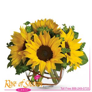 Sunny Sunflowers product image. 