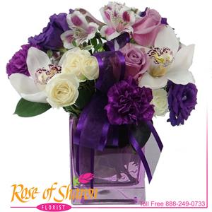 Image of 1985 Purple Fantasy from Rose of Sharon Florist