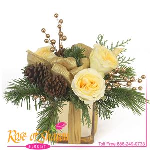 Image of 2072 Belle Winter Bouquet from Rose of Sharon Florist
