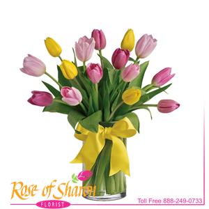 Image of 2270 Spring Tulip Vase from Rose of Sharon Florist