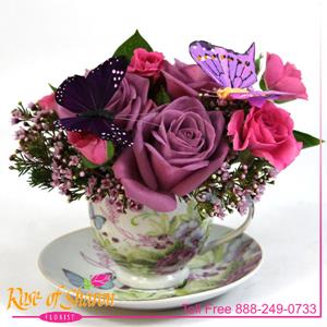 Image of 2348 Tea Time from Rose of Sharon Florist