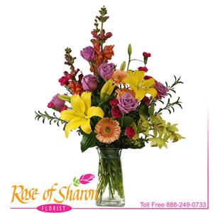 Spring Flowers & Gifts from Rose of Sharon Florist