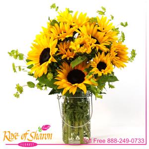 Sunflower Joy