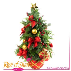Christmas Trees from Rose of Sharon Florist