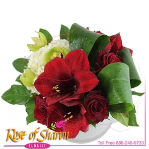Image of 2480 Kama from Rose of Sharon Florist