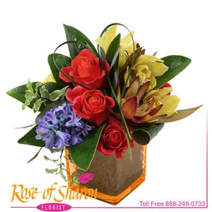 Cubes & Cylinder from Rose of Sharon Florist