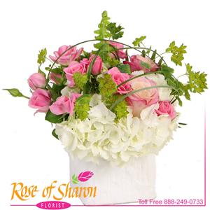 Maternity Flowers from Rose of Sharon Florist