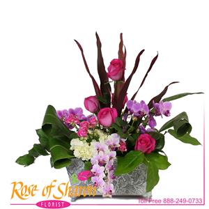 Luxurious Expressions from Rose of Sharon Florist