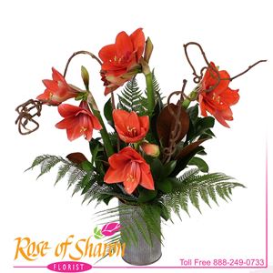 Vase Arrangements from Rose of Sharon Florist